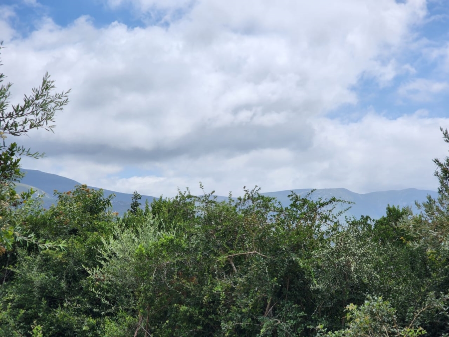 Commercial Property for Sale in Wilderness Heights Western Cape